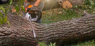 Best Utility Line Clearance  in San Mateo, CA